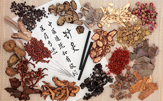 Die Traditionelle Chinesische Medizin